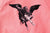 NOAH - St. Michael At The Last Judgement - Cover