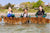 NOAH - Shinnecock Kelp Farmers - Cover