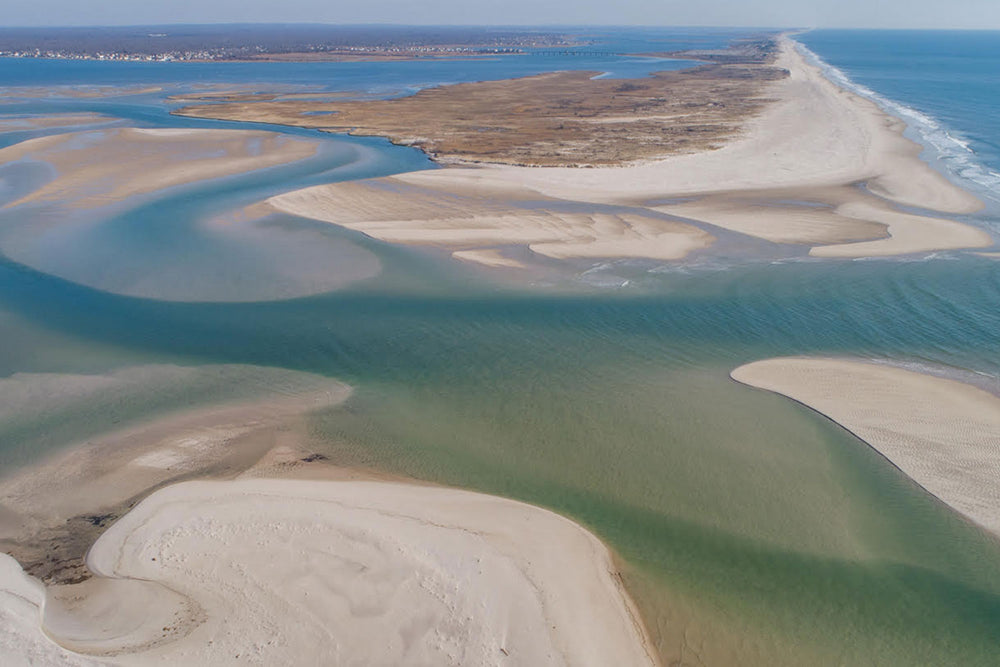 Save The Great South Bay - Cover