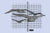 NOAH - In Detail: Silent Spring Tee - Cover
