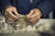 NOAH - The Revolutionizing Loro Piana Mill - Cover