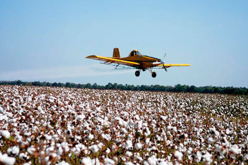 Pesticides - Cover