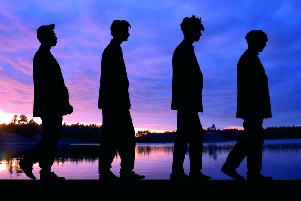 Echo & the Bunnymen-Seven Seas - Cover