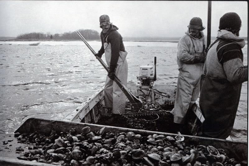 The Life of a Long Island Clammer- The Inspiration Behind the Noah Reversible sweatshirt - Cover