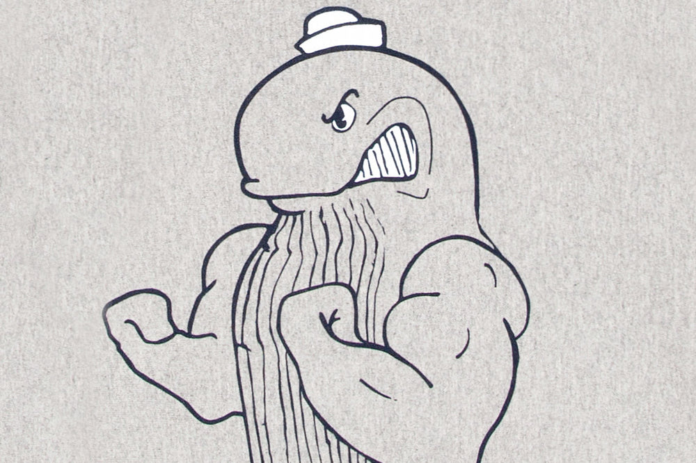 Fighting Whale Mascot - Cover