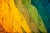 NOAH - Whitney Museum Shop: What Color Are You? - Cover