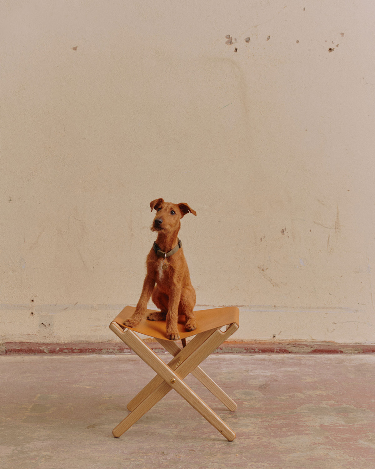 37_STOOL_3788_2-6