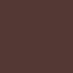 Noah - Croc-Embossed Metal Tip Belt - Brown - Swatch