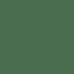 Noah - Winged Foot Ear Band - Green - Swatch