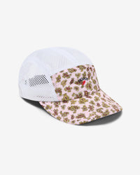 Paisley