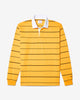 Noah - Classic Rugby - Gold - Swatch