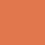 Noah - AO Tee - Orange - Swatch