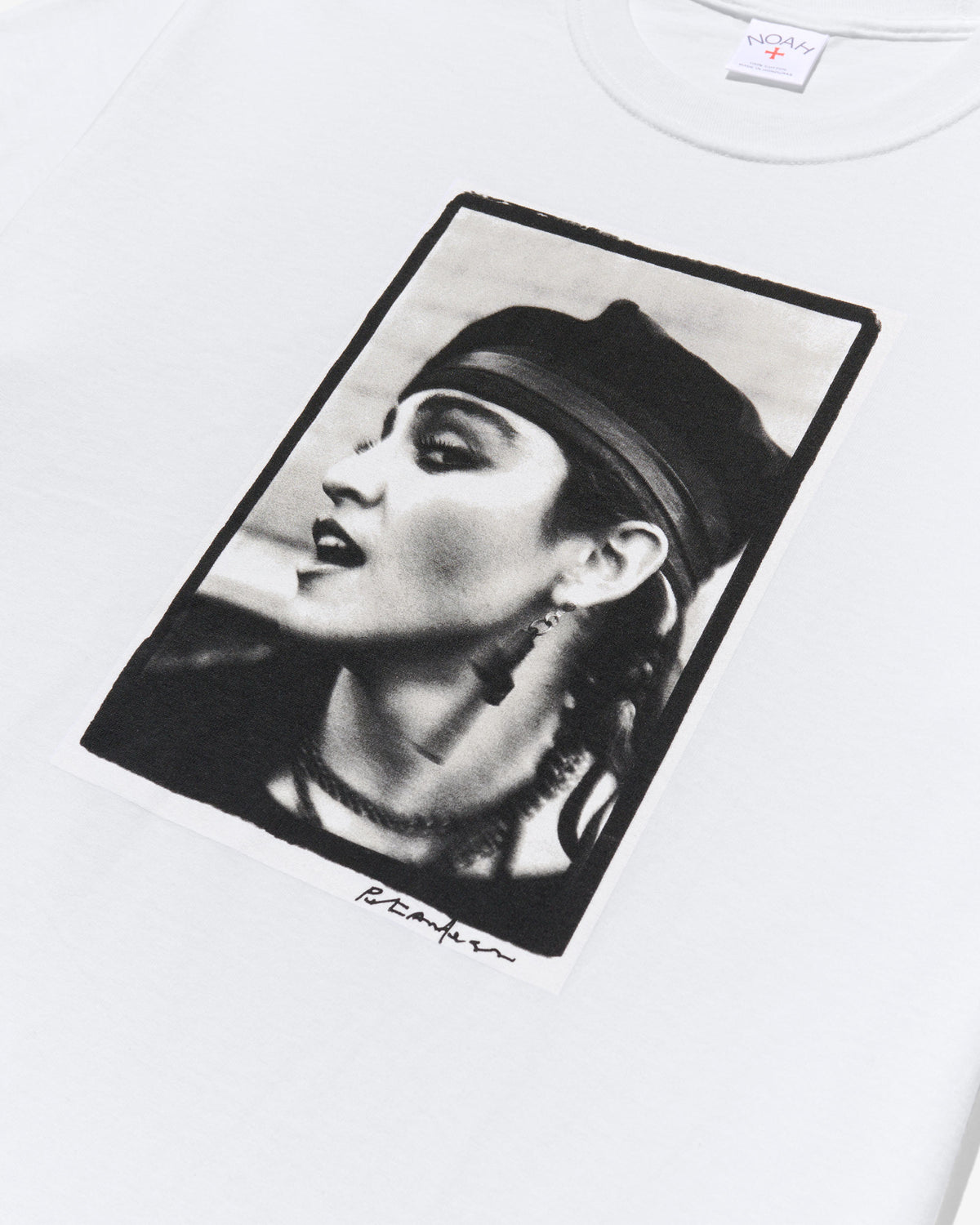 Peter Anderson Madonna Tee