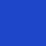 Noah - Boardshorts - Royal - Swatch