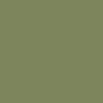 Noah - Twill Shorts - Sage Green - Swatch