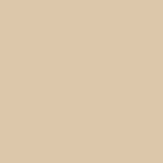 Noah - Stack Logo Tee - Sand - Swatch