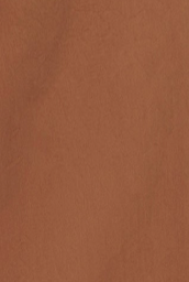 Noah - Pleated Fatigue Pant - Brown - Swatch