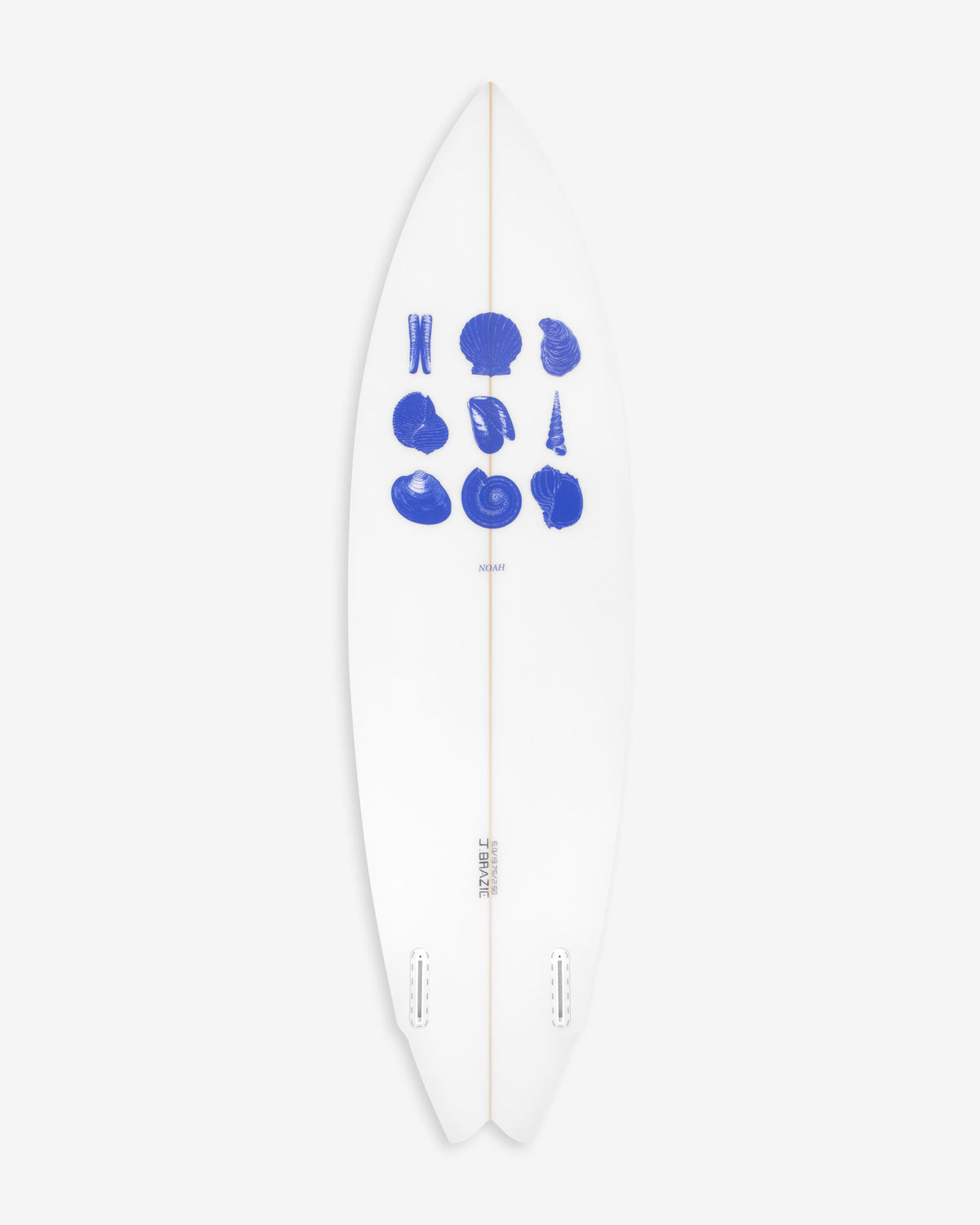 Shells Surfboard