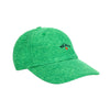 Noah - Terrycloth 6-Panel - Kelly Green - Swatch